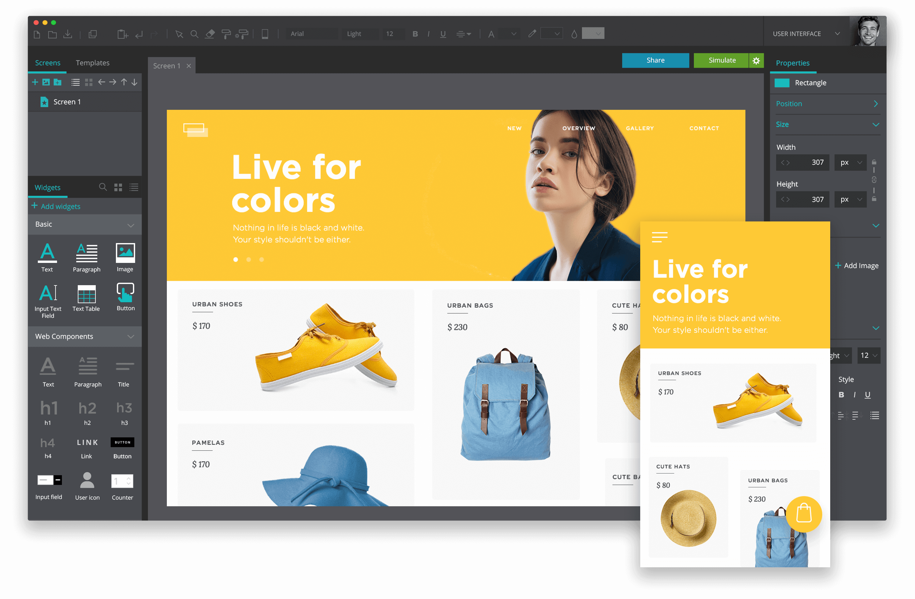 Mobile_and_Web_Application_Design2
